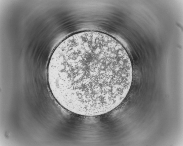 X0000095880807200802011043