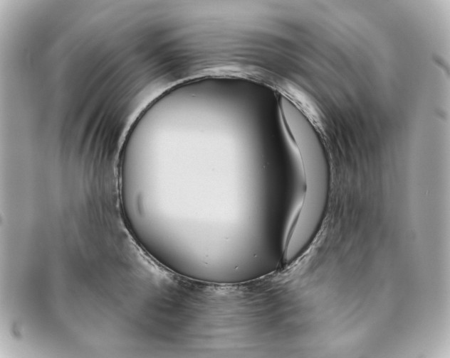 X0000095880808200802011043