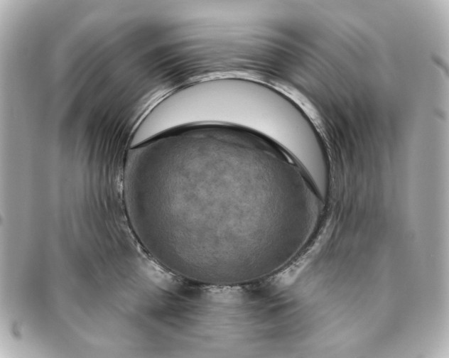 X0000095880809200802011043