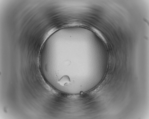 X0000095880810200802011043