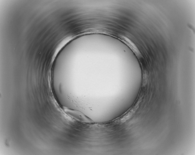 X0000095880812200802011043