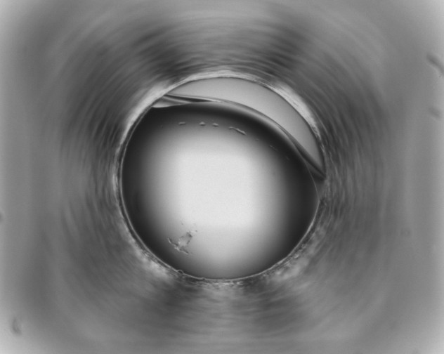 X0000095880813200802011043