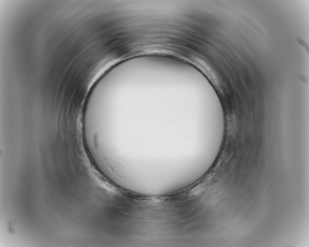 X0000095880814200802011042