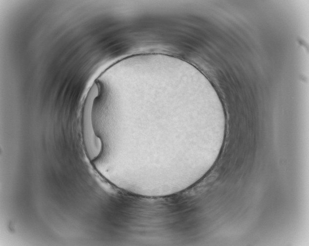 X0000095880816200802011042