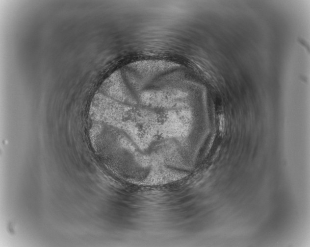 X0000095880817200802011042