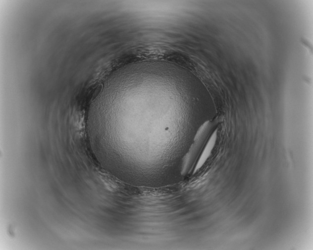 X0000095880818200802011042