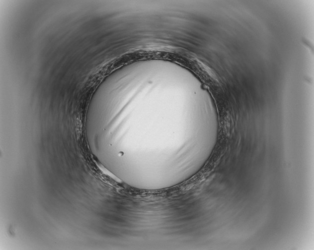 X0000095880821200802011042