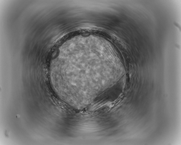 X0000095880822200802011042