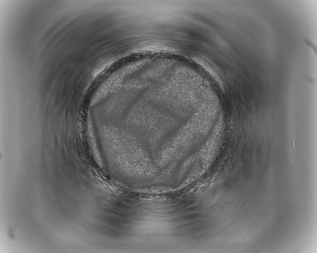 X0000095880823200802011042