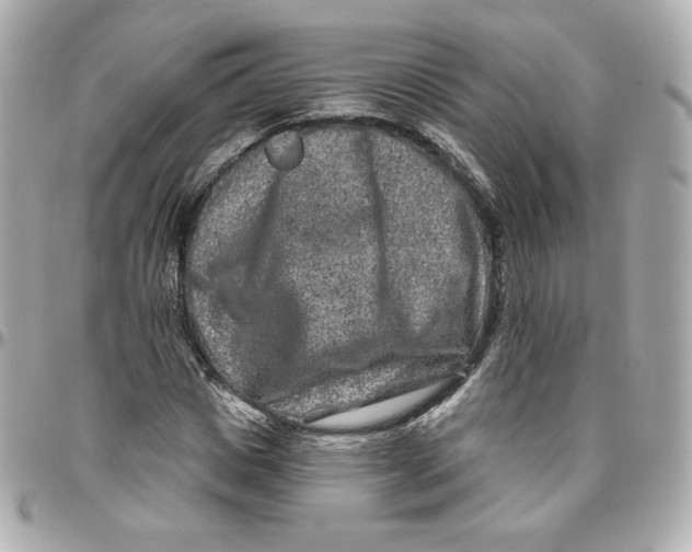 X0000095880825200802011042