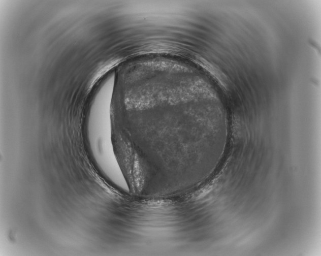 X0000095880826200802011042