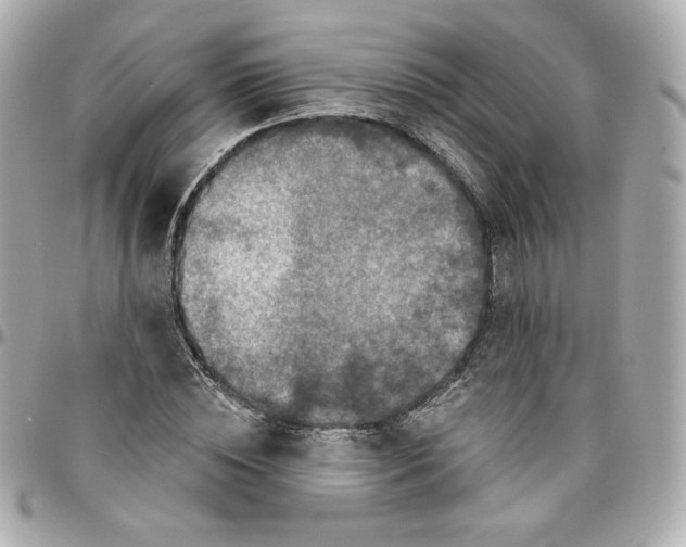 X0000095880828200802011042