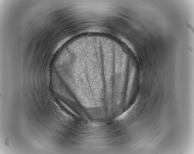 X0000095880829200802011042