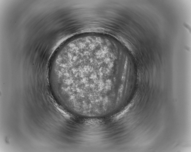 X0000095880830200802011042