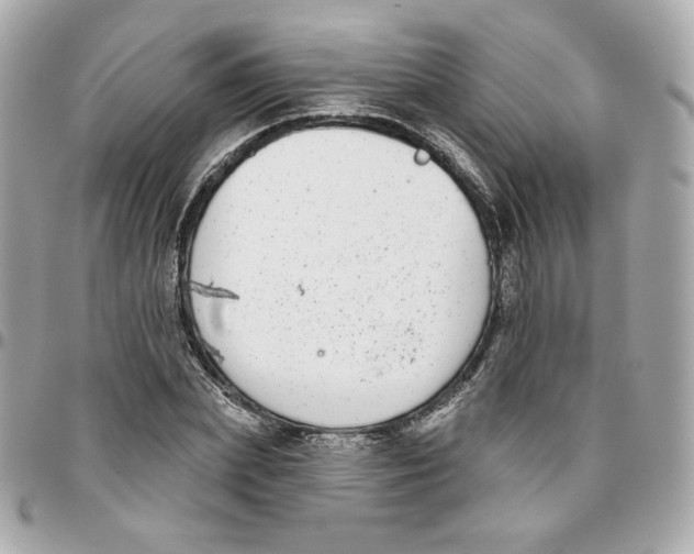 X0000095880831200802011042