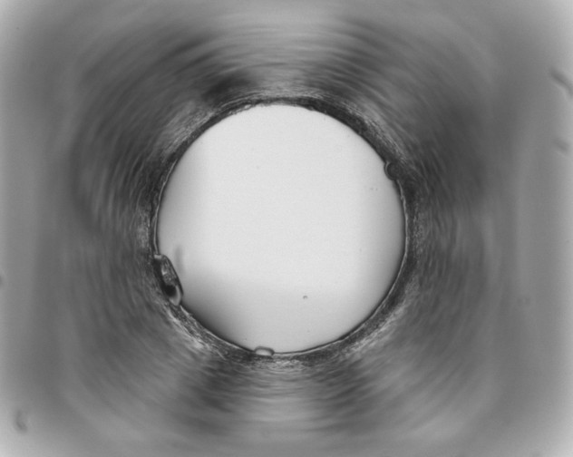 X0000095880833200802011042