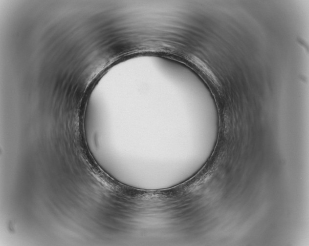 X0000095880834200802011042