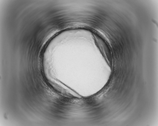 X0000095880835200802011042