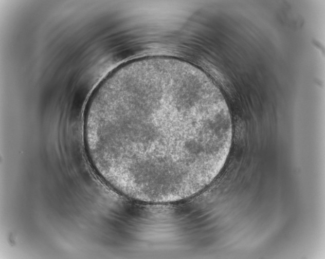 X0000095880836200802011042