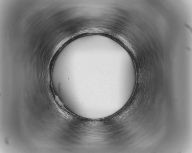 X0000095880837200802011042