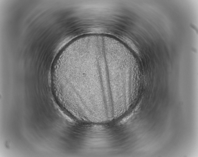 X0000095880839200802011042