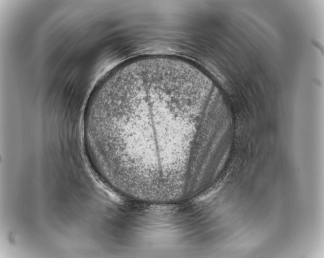 X0000095880840200802011042