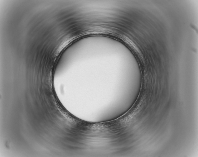 X0000095880842200802011042