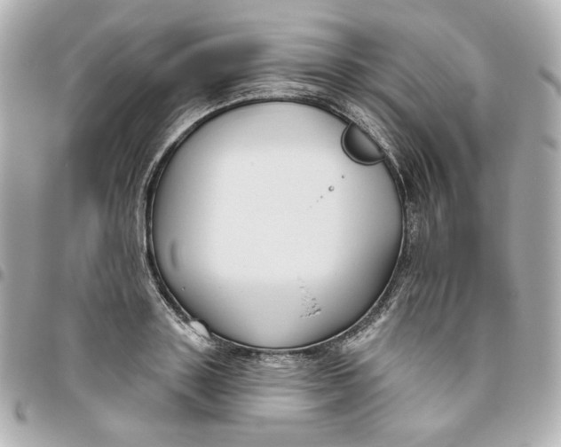 X0000095880843200802011042