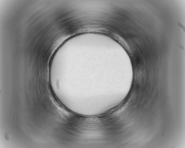 X0000095880844200802011042