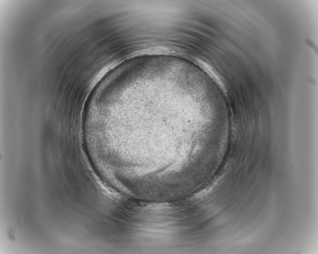 X0000095880845200802011042