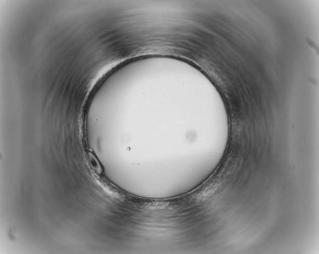 X0000095880846200802011042