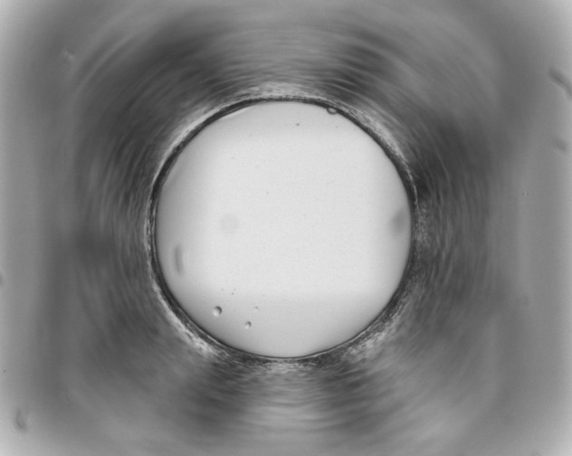 X0000095880847200802011042