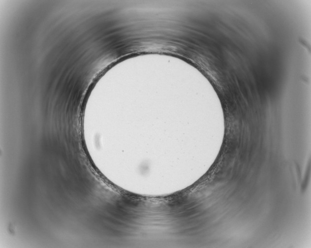 X0000095880848200802011042