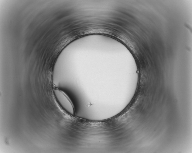 X0000095880849200802011042