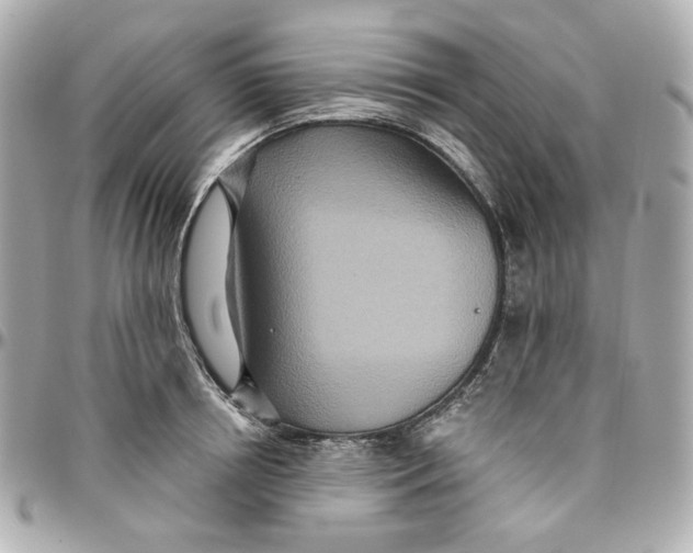 X0000095880850200802011042