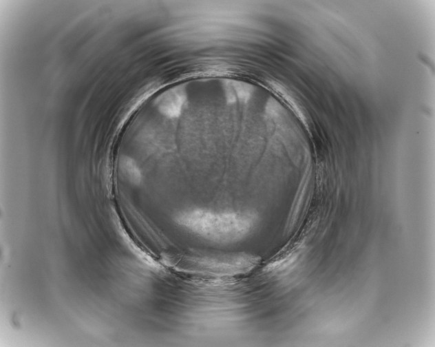 X0000095880851200802011042