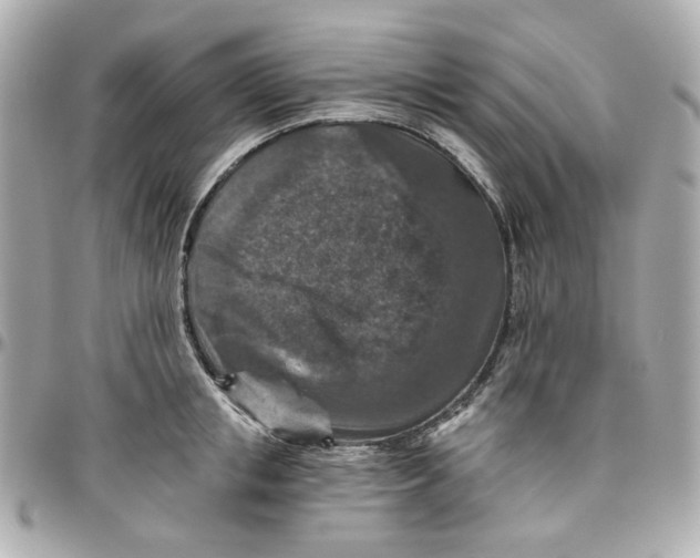 X0000095880853200802011042