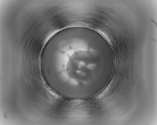 X0000095880854200802011042