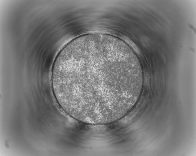 X0000095880856200802011042