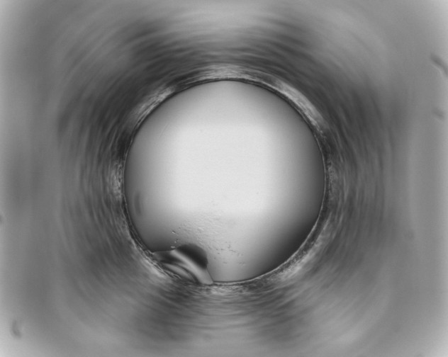 X0000095880857200802011042