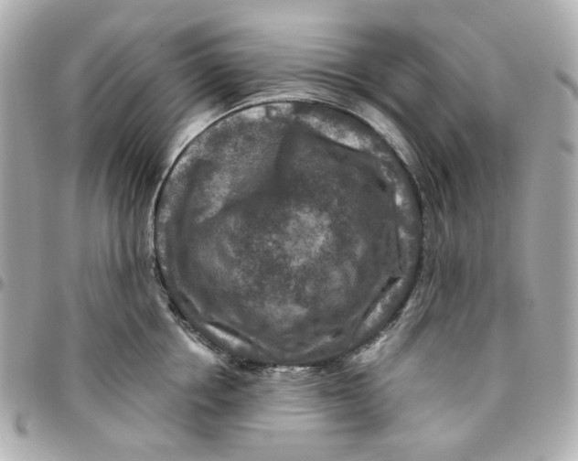 X0000095880858200802011042