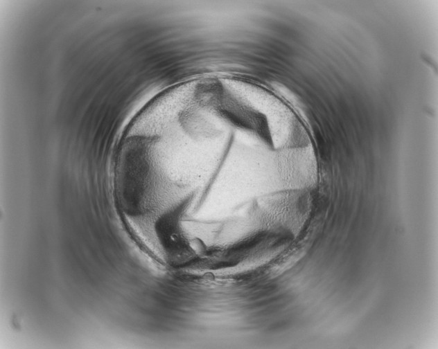 X0000095880859200802011042