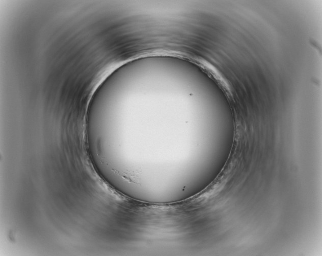 X0000095880860200802011042