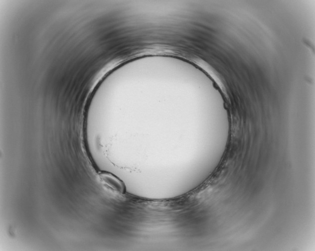 X0000095880861200802011042