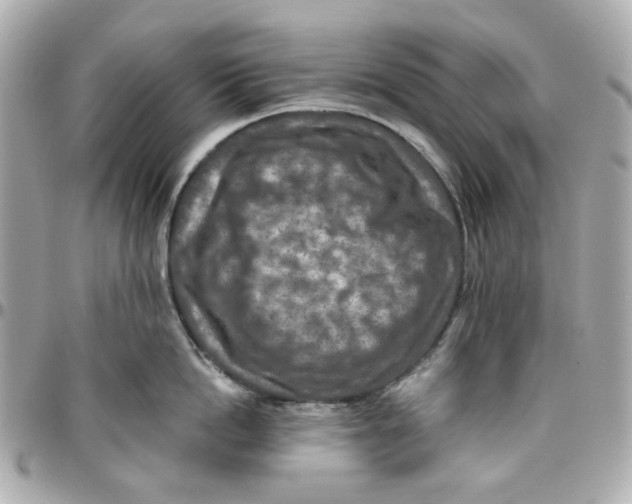 X0000095880862200802011042