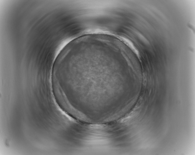 X0000095880863200802011042