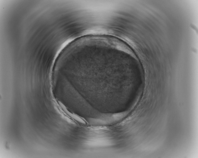 X0000095880864200802011042