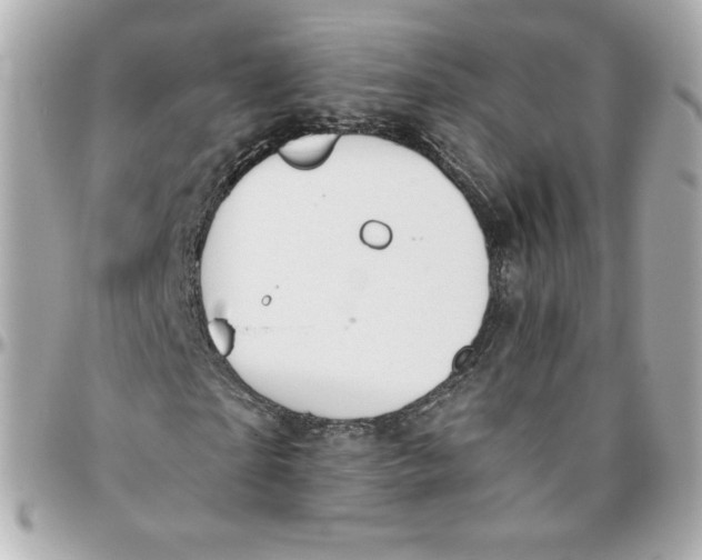 X0000095880865200802011042