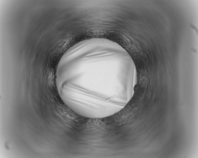 X0000095880866200802011042