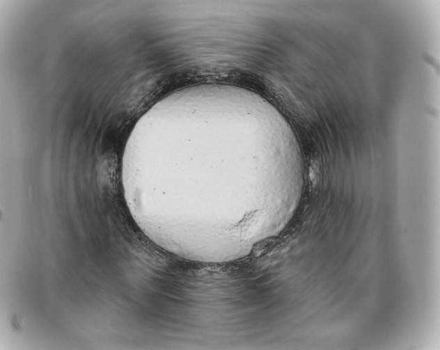 X0000095880867200802011042